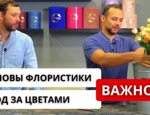 Как правильно подрезать розы в букете
