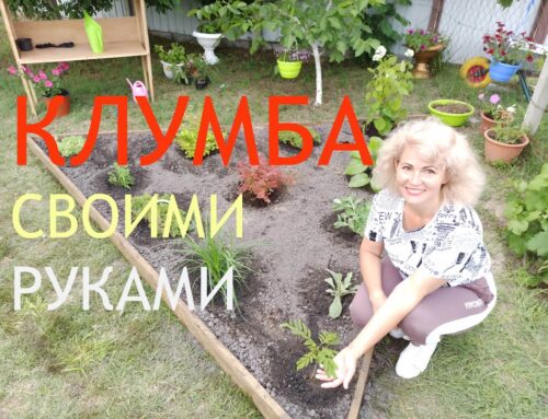 Подробное руководство – как посадить цветы во дворе