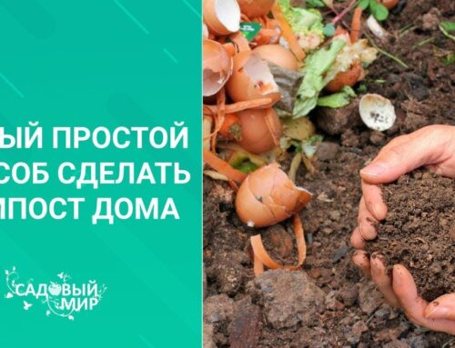 Как сделать компост в домашних условиях
