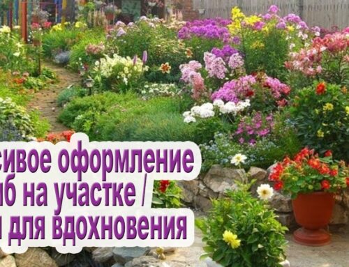 Секреты создания красивой клумбы – советы от профессионалов